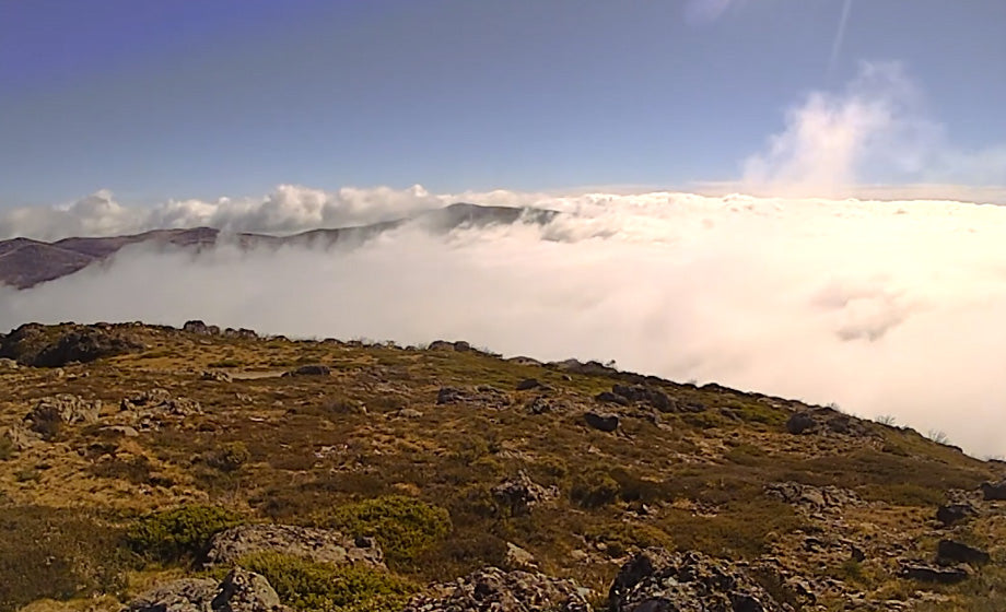 A View from Mount McKay