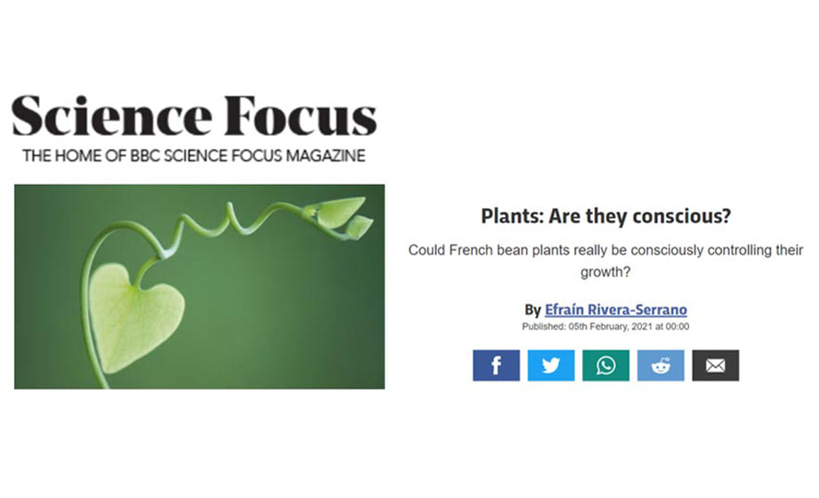 Plant Sentience Research in BBC Science Focus Magazine