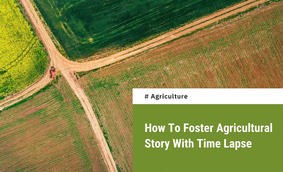 Foster an Agriculture branding story with time lapse