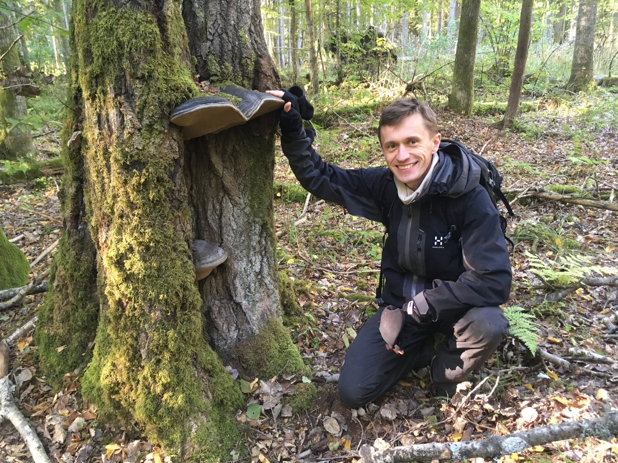 Time Lapse the Hidden World of Insect Life on Fungi - Interview with Ecologist Dmitry Schigel, PhD