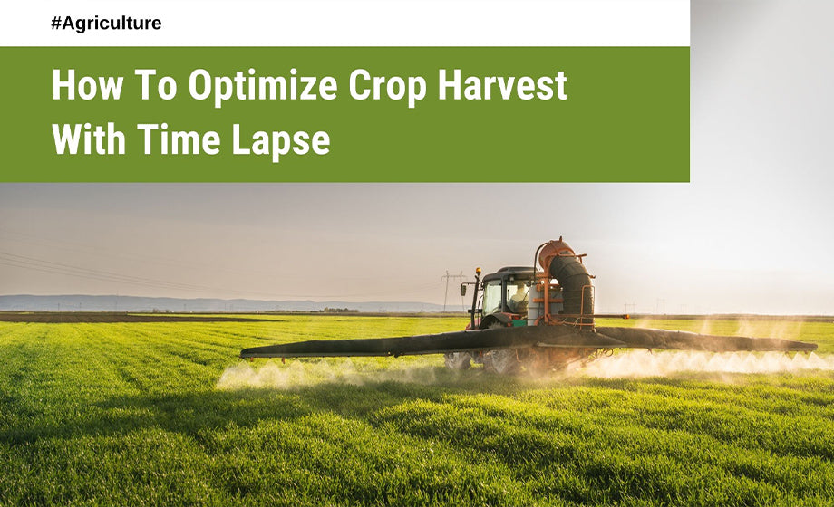 Maximizing The Harvest With Time Lapse