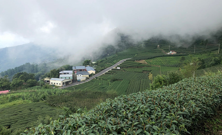 When time lapse meet fog in the mountain– Interview with NTU Geography Professor