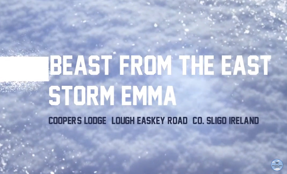 Storm Emma and The Beast from the East