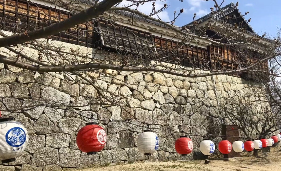 Timelapse Japan - TLC130